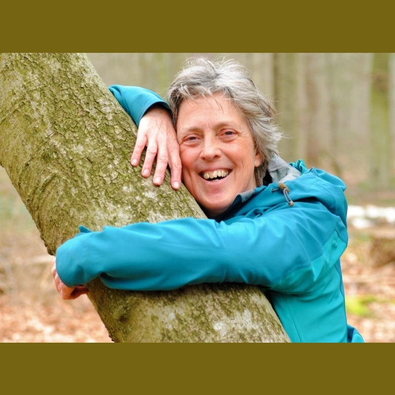 Julie Tims